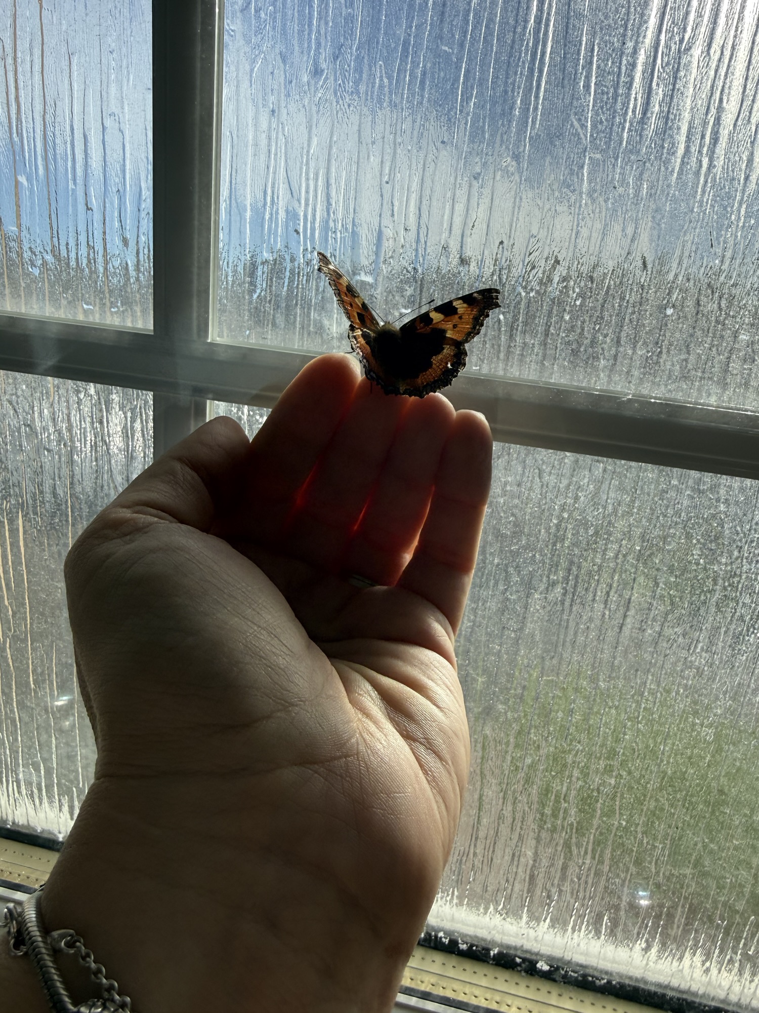 How to be human enough to… be there at the end